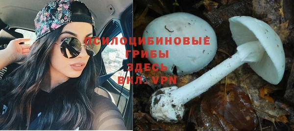а пвп мука Аркадак