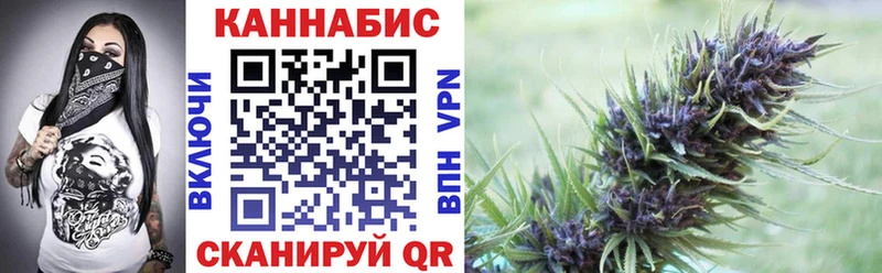 где купить наркотик  Далматово  Конопля сатива 